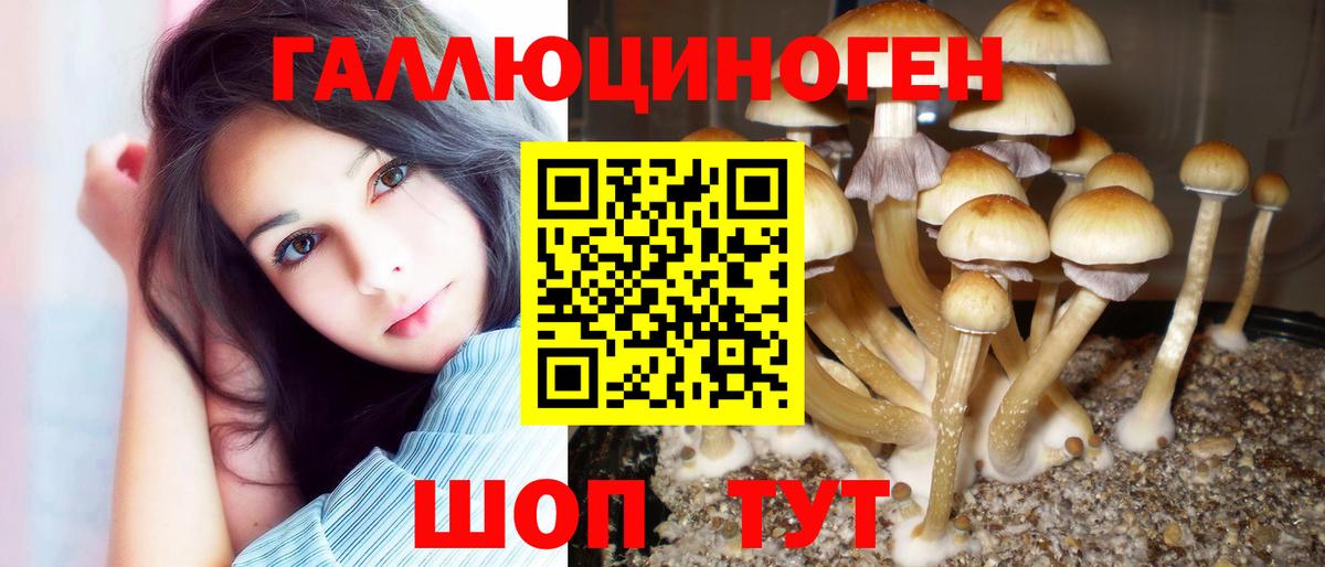 Псилоцибиновые грибы ЛСД Зеленокумск